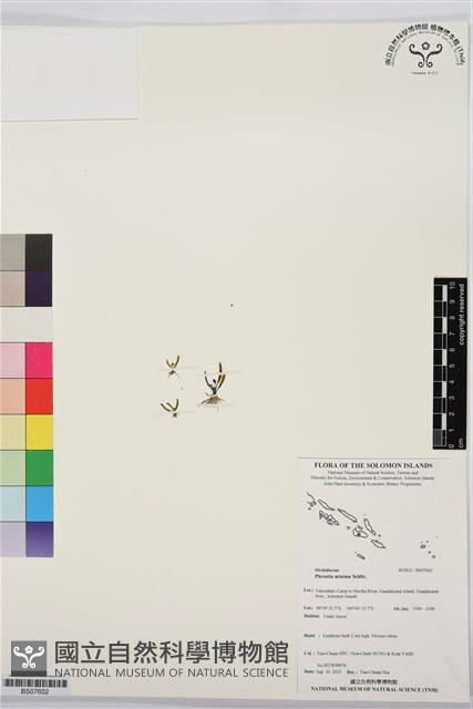 登錄號:BS07602藏品圖，第1張