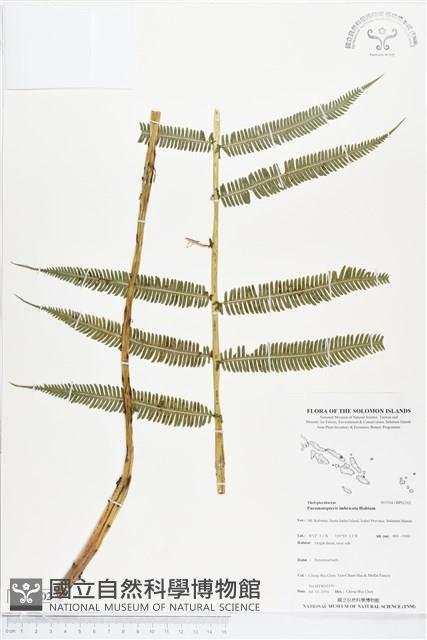 登錄號:BP02102藏品圖，第1張