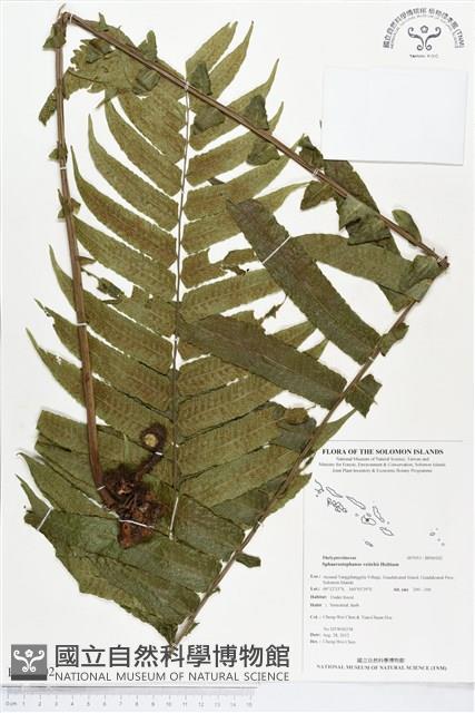 登錄號:BP00102藏品圖，第1張