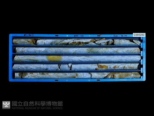 Accession Number:C005202 Collection Image, Figure 1, Total 3 Figures