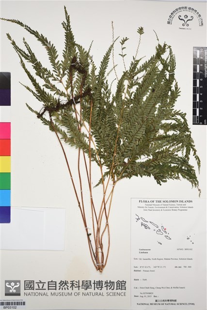 登錄號:BP03102藏品圖，第1張