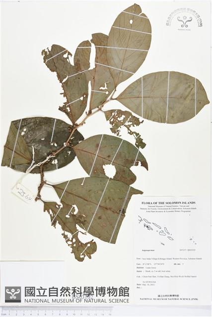 登錄號:BS03102藏品圖，第1張