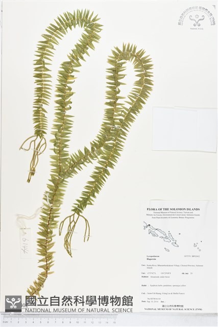 登錄號:BP02402藏品圖，第1張