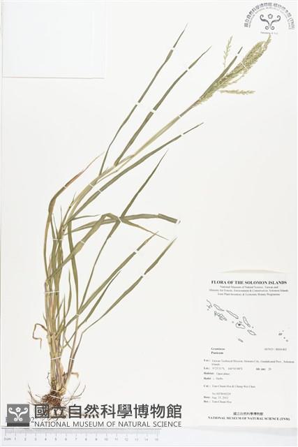 登錄號:BS01402藏品圖，第1張