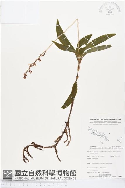登錄號:BS04402藏品圖，第1張
