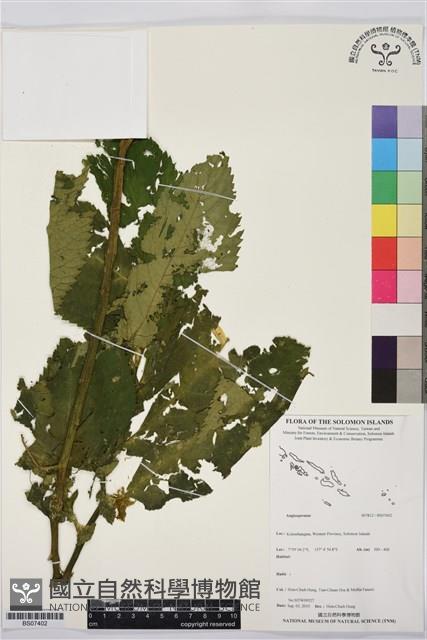 登錄號:BS07402藏品圖，第1張