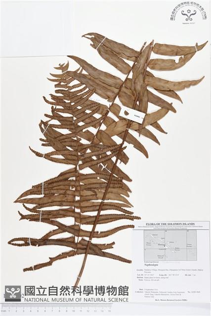 登錄號:BP00202藏品圖，第1張