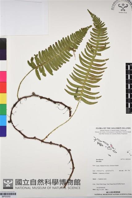 登錄號:BP03202藏品圖，第1張