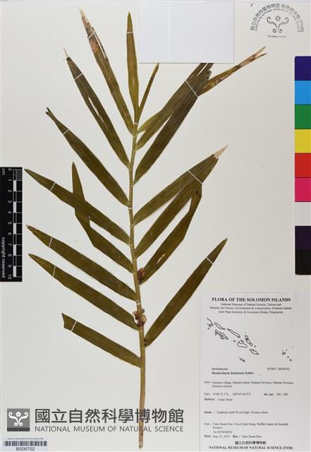 登錄號:BS06702藏品圖，第1張