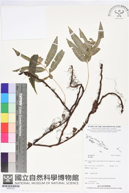 登錄號:BP02702藏品圖，第1張