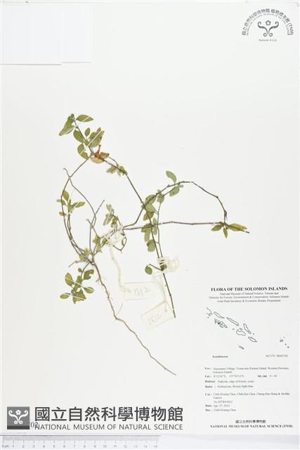 登錄號:BS02702藏品圖，第1張