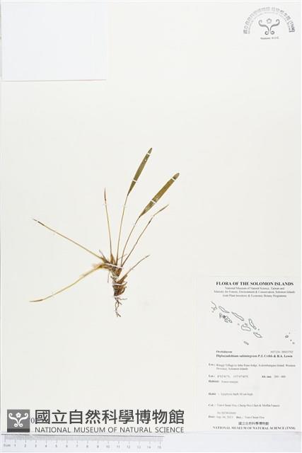 登錄號:BS03702藏品圖，第1張