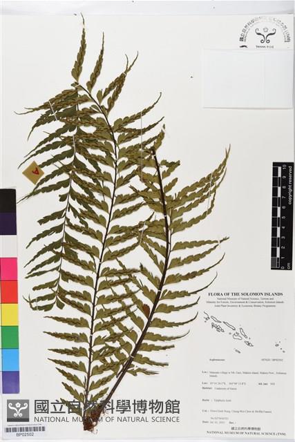 登錄號:BP02502藏品圖，第1張