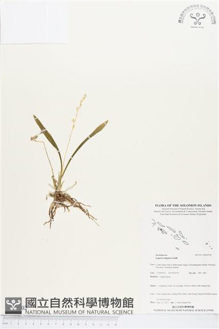 登錄號:BS03502藏品圖，第1張