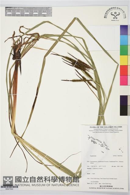 登錄號:BS07502藏品圖，第1張