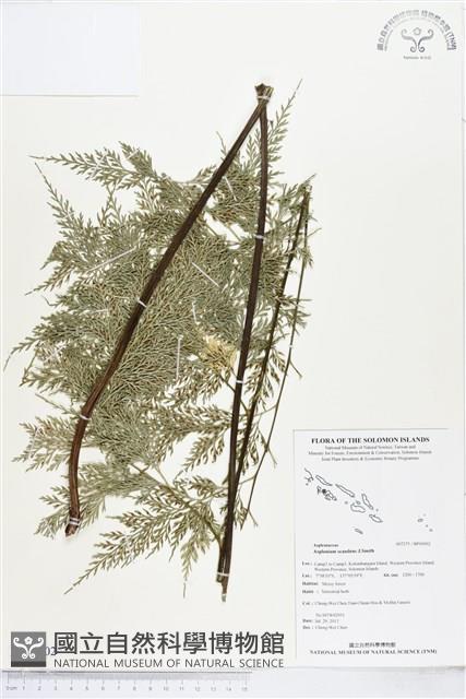 登錄號:BP00902藏品圖，第1張