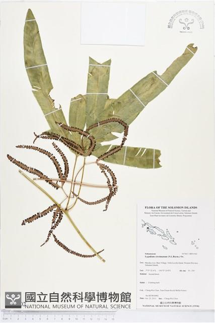 登錄號:BP01902藏品圖，第1張