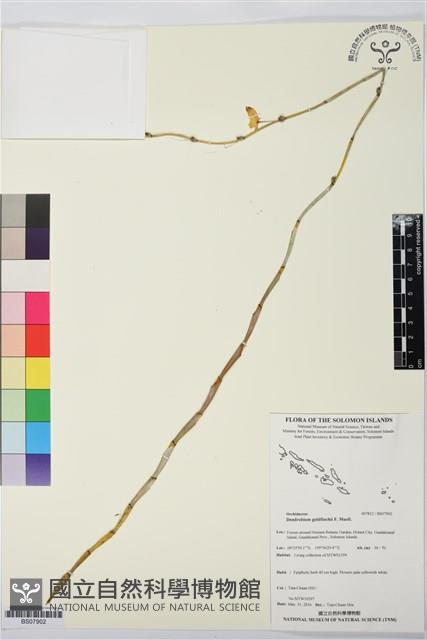 登錄號:BS07902藏品圖，第1張