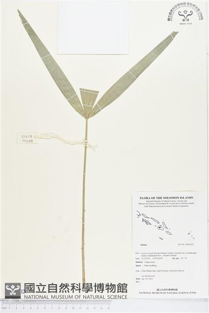 登錄號:BS02302藏品圖，第1張