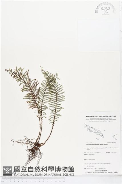 登錄號:BP01832藏品圖，第1張