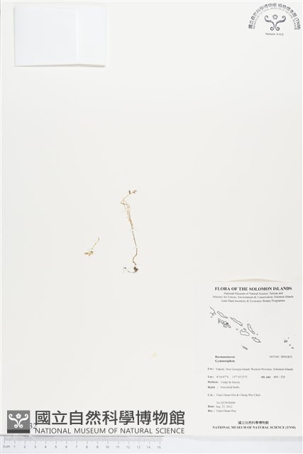 登錄號:BS01832藏品圖，第1張