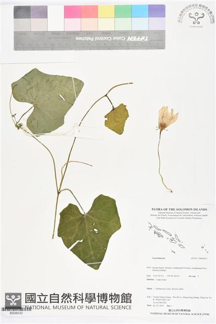 登錄號:BS06032藏品圖，第1張