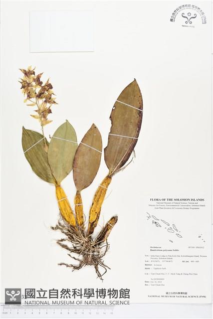 登錄號:BS02032藏品圖，第1張