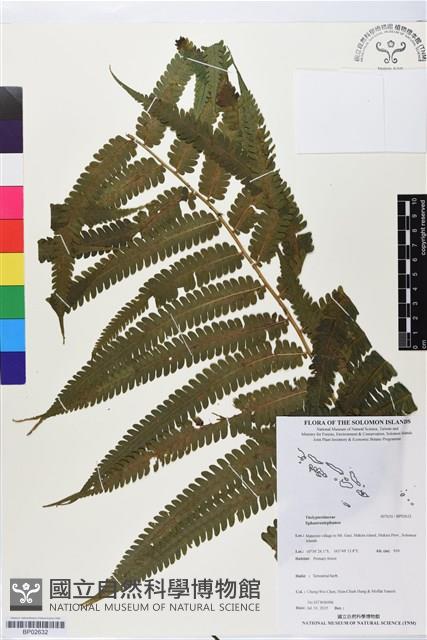 登錄號:BP02632藏品圖，第1張