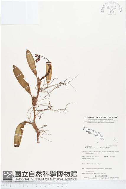 登錄號:BS03632藏品圖，第1張