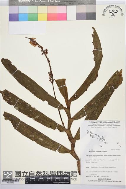 登錄號:BS07632藏品圖，第1張