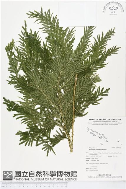 登錄號:BP00132藏品圖，第1張