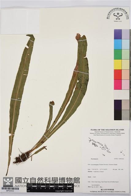 登錄號:BP03432藏品圖，第1張