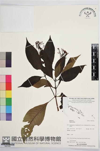 登錄號:BS07432藏品圖，第1張