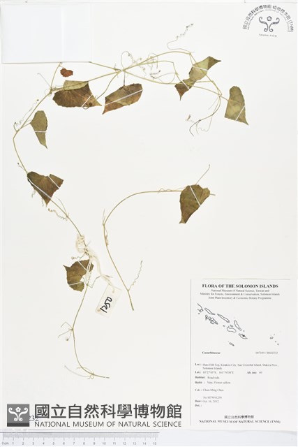 登錄號:BS02232藏品圖，第1張