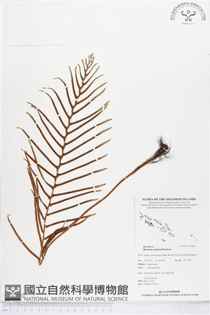 登錄號:BP00232藏品圖，第1張