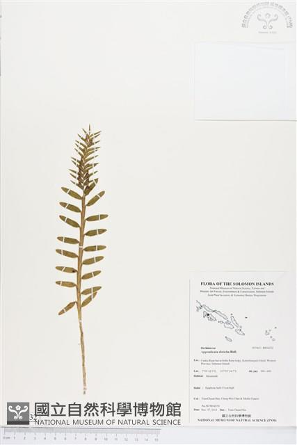 登錄號:BS04232藏品圖，第1張