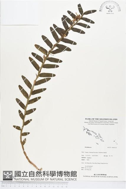 登錄號:BS03232藏品圖，第1張