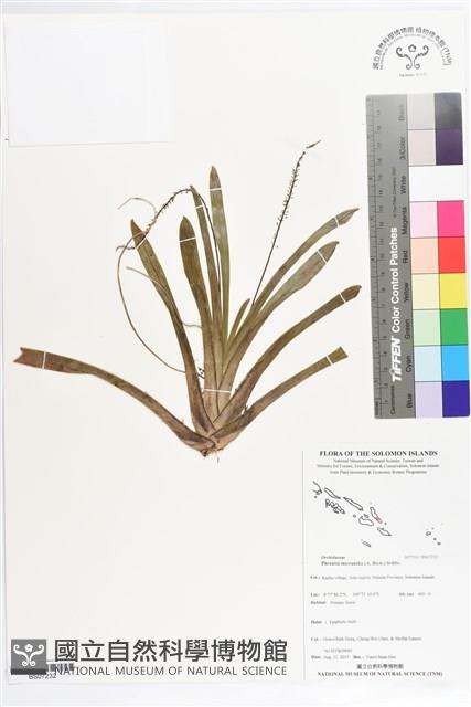 登錄號:BS07232藏品圖，第1張