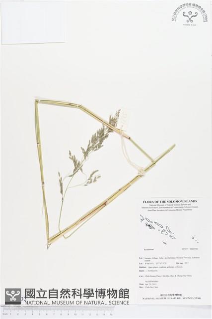 登錄號:BS02732藏品圖，第1張