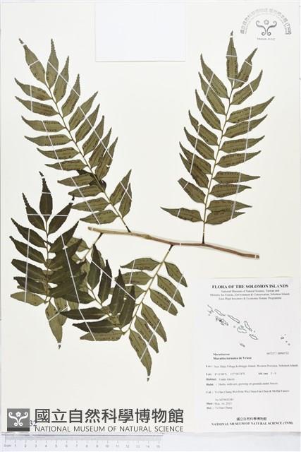 登錄號:BP00732藏品圖，第1張