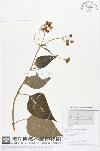 登錄號:BS01732藏品圖，第1張