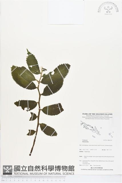 登錄號:BS04732藏品圖，第1張