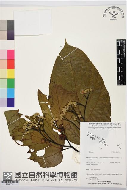 登錄號:BS07732藏品圖，第1張