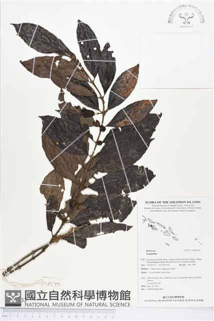 登錄號:BS02532藏品圖，第1張