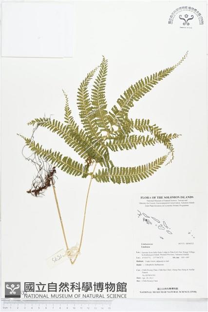 登錄號:BP00532藏品圖，第1張