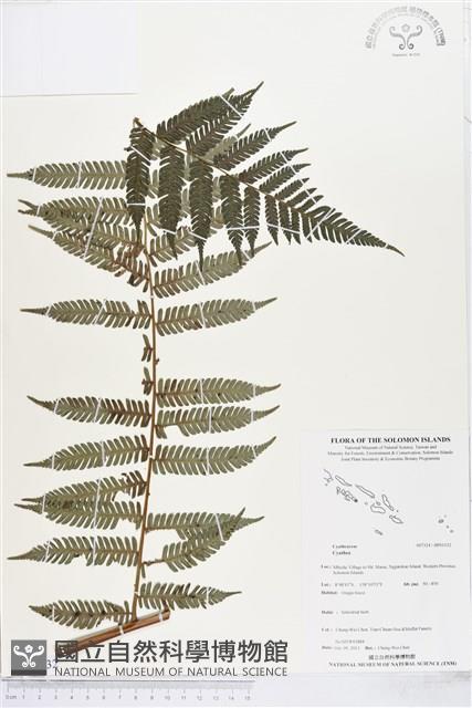 登錄號:BP01532藏品圖，第1張