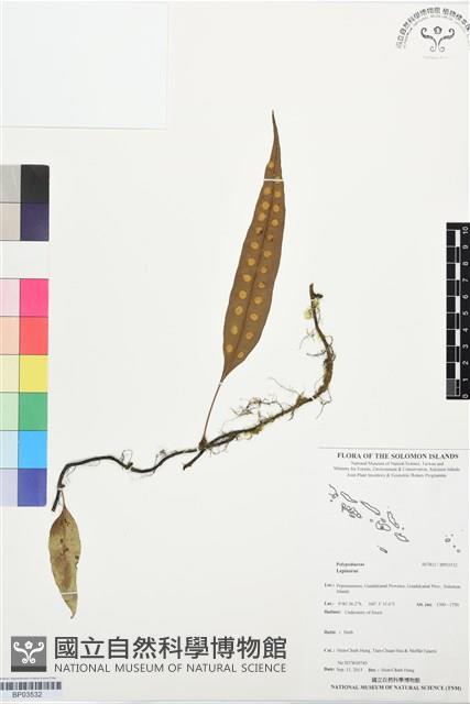 登錄號:BP03532藏品圖，第1張