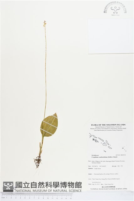 登錄號:BS03532藏品圖，第1張