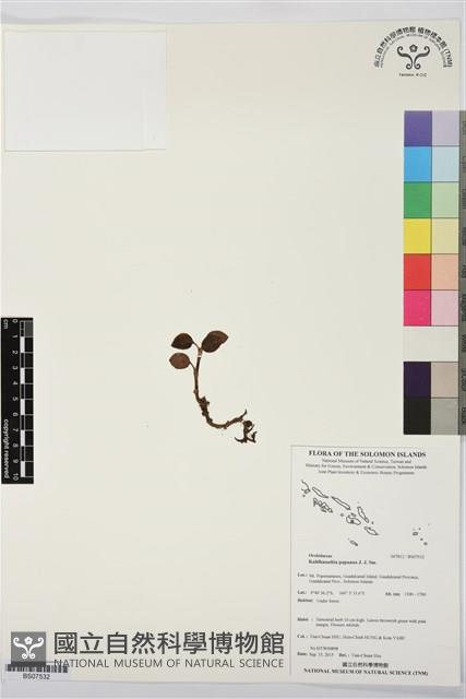 登錄號:BS07532藏品圖，第1張