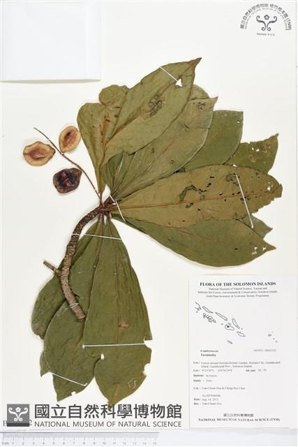 登錄號:BS01332藏品圖，第1張